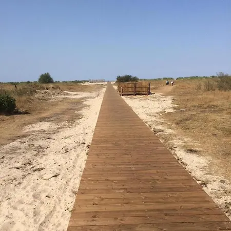 Seekiste 호루메르질